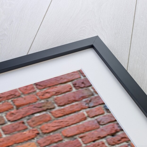 Brickwall by Assaf Frank